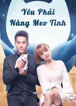 Xem phim Yêu Phải Nàng Meo Tinh